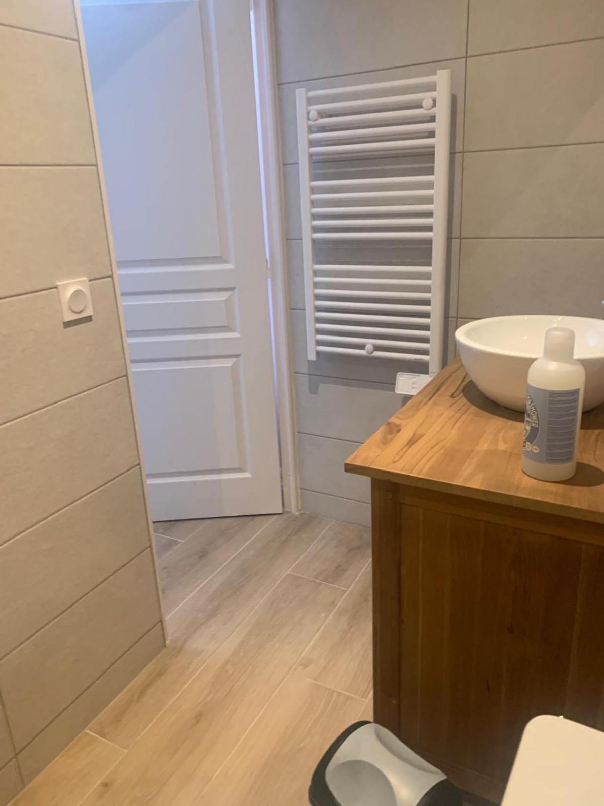 Apartament Chez Emilie Et John Saint-Etienne  Zewnętrze zdjęcie