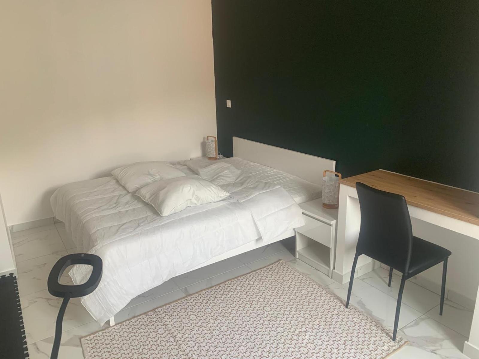 Apartament Chez Emilie Et John Saint-Etienne  Zewnętrze zdjęcie